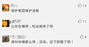 抖音最火的炖鱼,抖音上火的炖鱼