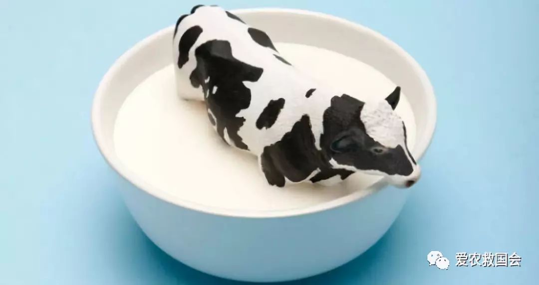 金芷神痛风茶,痛风能喝的茶