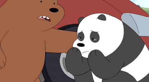 曾经我也是熬过申请季的人,留学给予我的,至今感激