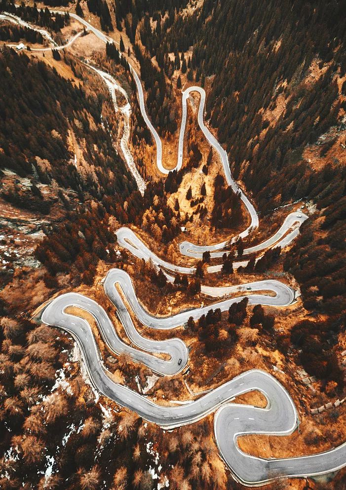 阿尔卑斯凭什么这么火,阿尔卑斯为啥代表爱情