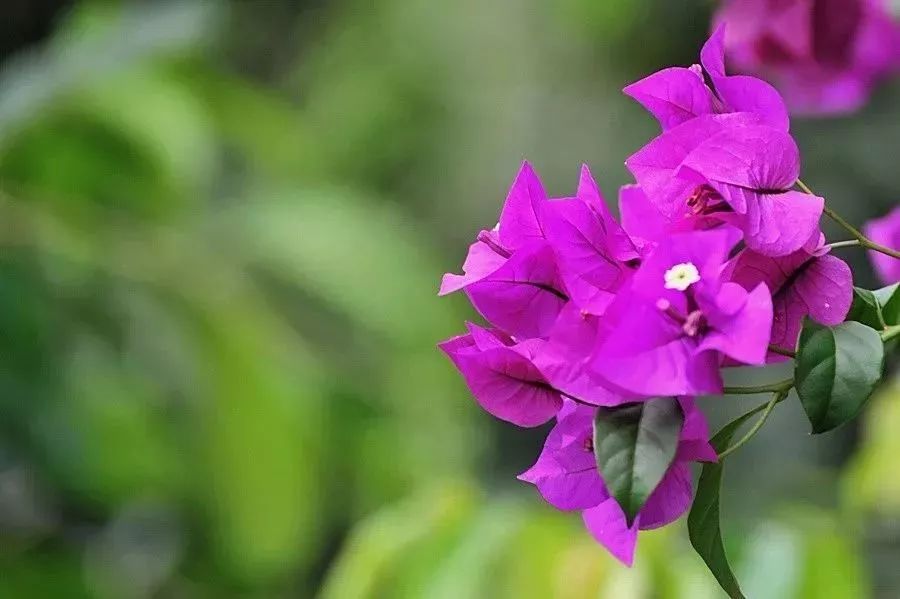 带你看美丽的厦门海边美景,厦门海洋最美丽的风景