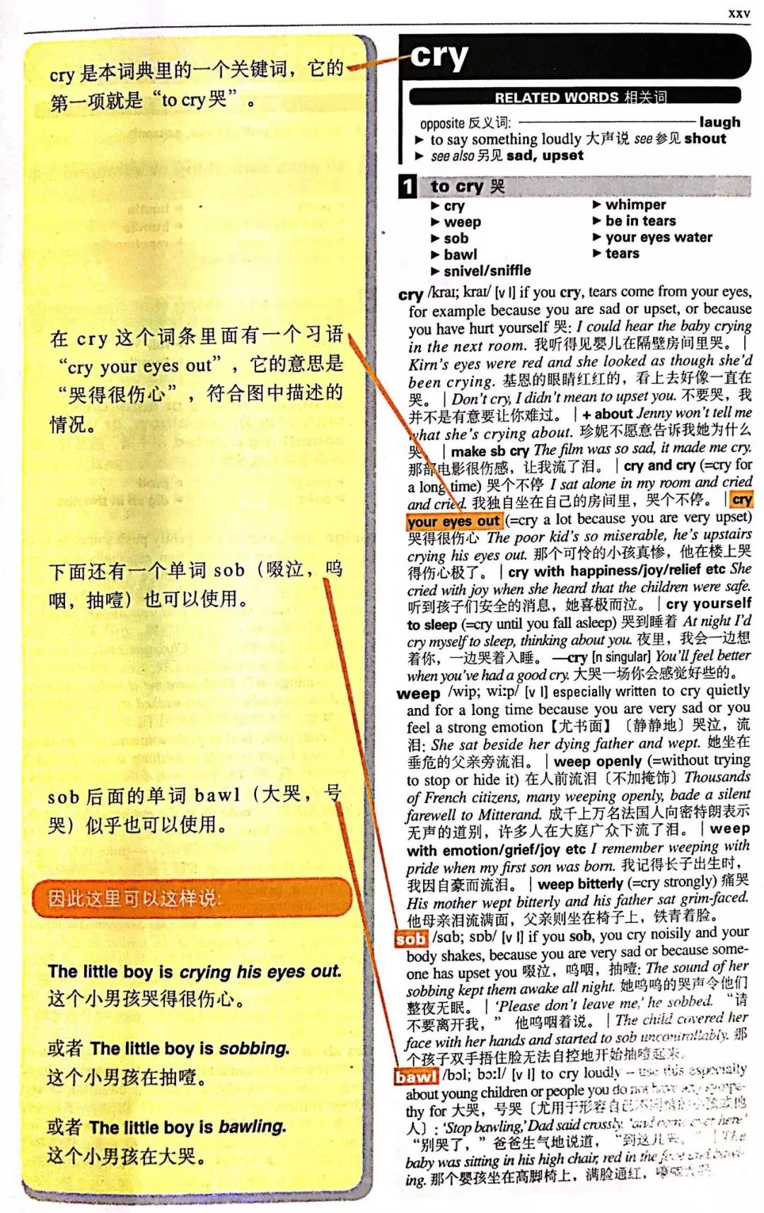 值得学习的10本书,大学生必看的英文书籍推荐