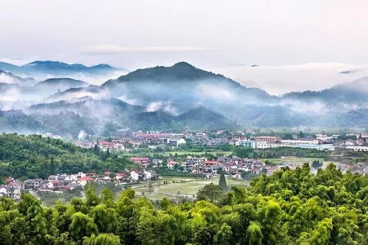 湖州森林覆盖率多少,森林覆盖率达到24.1%