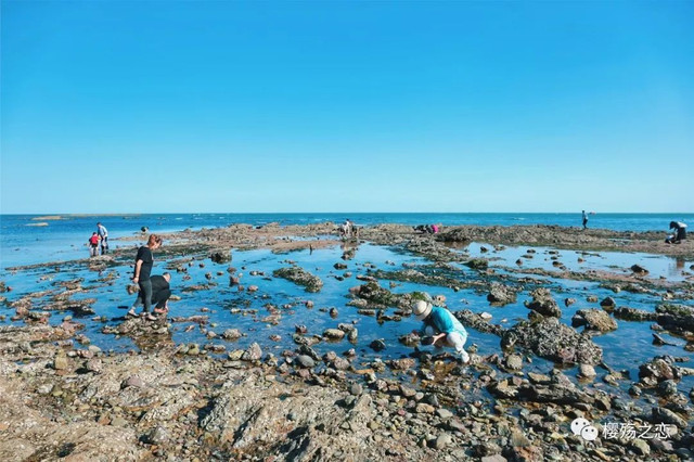 大连金石滩游记,玩转大连金石滩