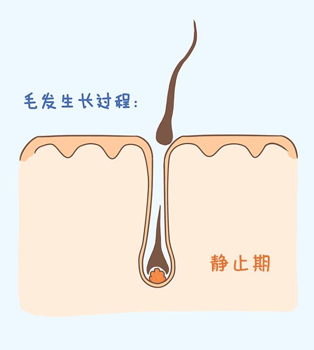 「不慌」就是……看完默默点了收藏和分享……