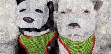 科普面膜健康知识,面膜敷的时间长了会有什么反作用