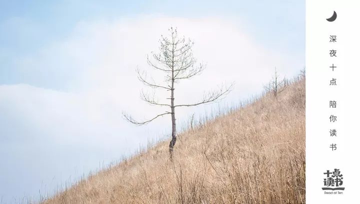 活得真实的人和虚假的人,活得太真实就会太累