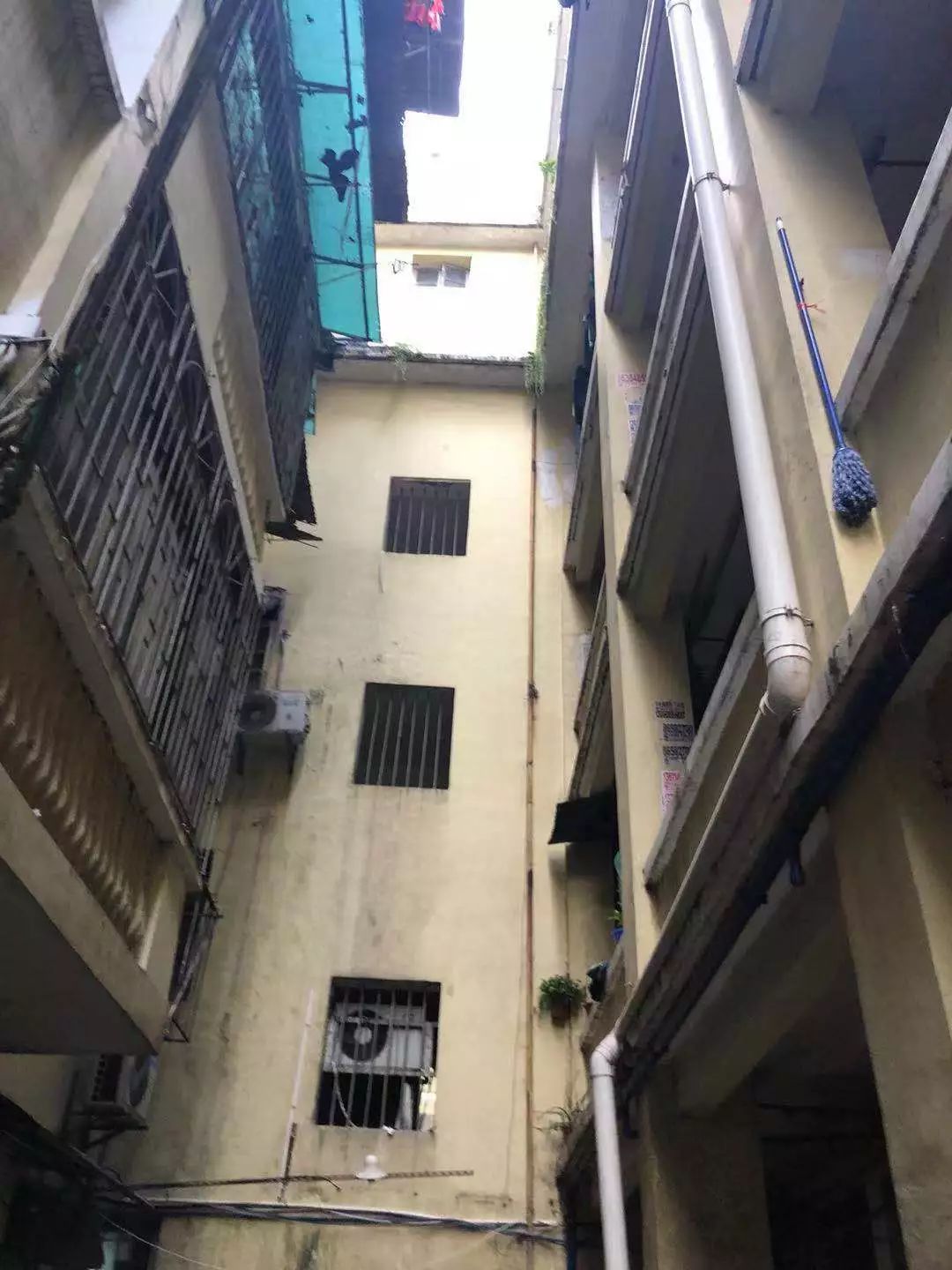 在广州的破旧小区里,一只爱马仕birkin只要5000元