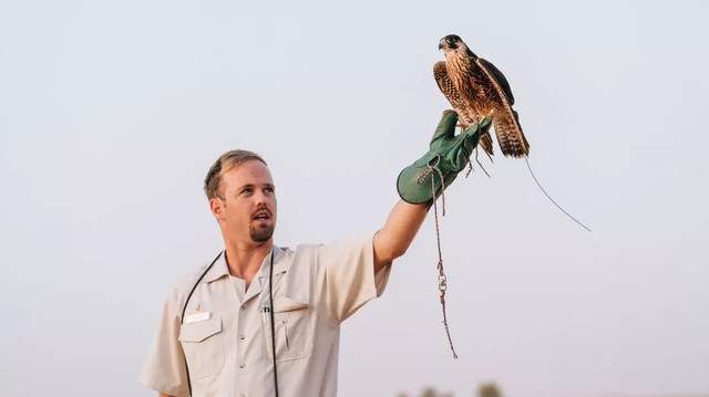 西厢房|沙漠中的极致野奢,每间都有私家泳池,羚羊会还会来泳池喝水