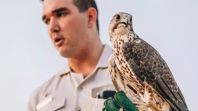 西厢房|沙漠中的极致野奢,每间都有私家泳池,羚羊会还会来泳池喝水