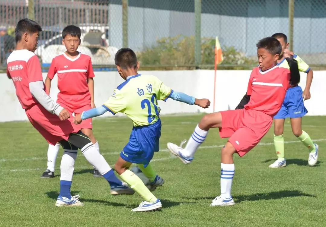 丽江足球冠军,丽江足球联赛第一名