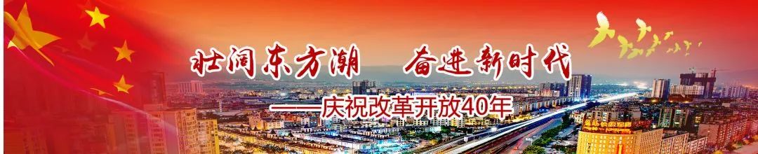 红塔集团的历史资料,改革开放四十年中国经济发展