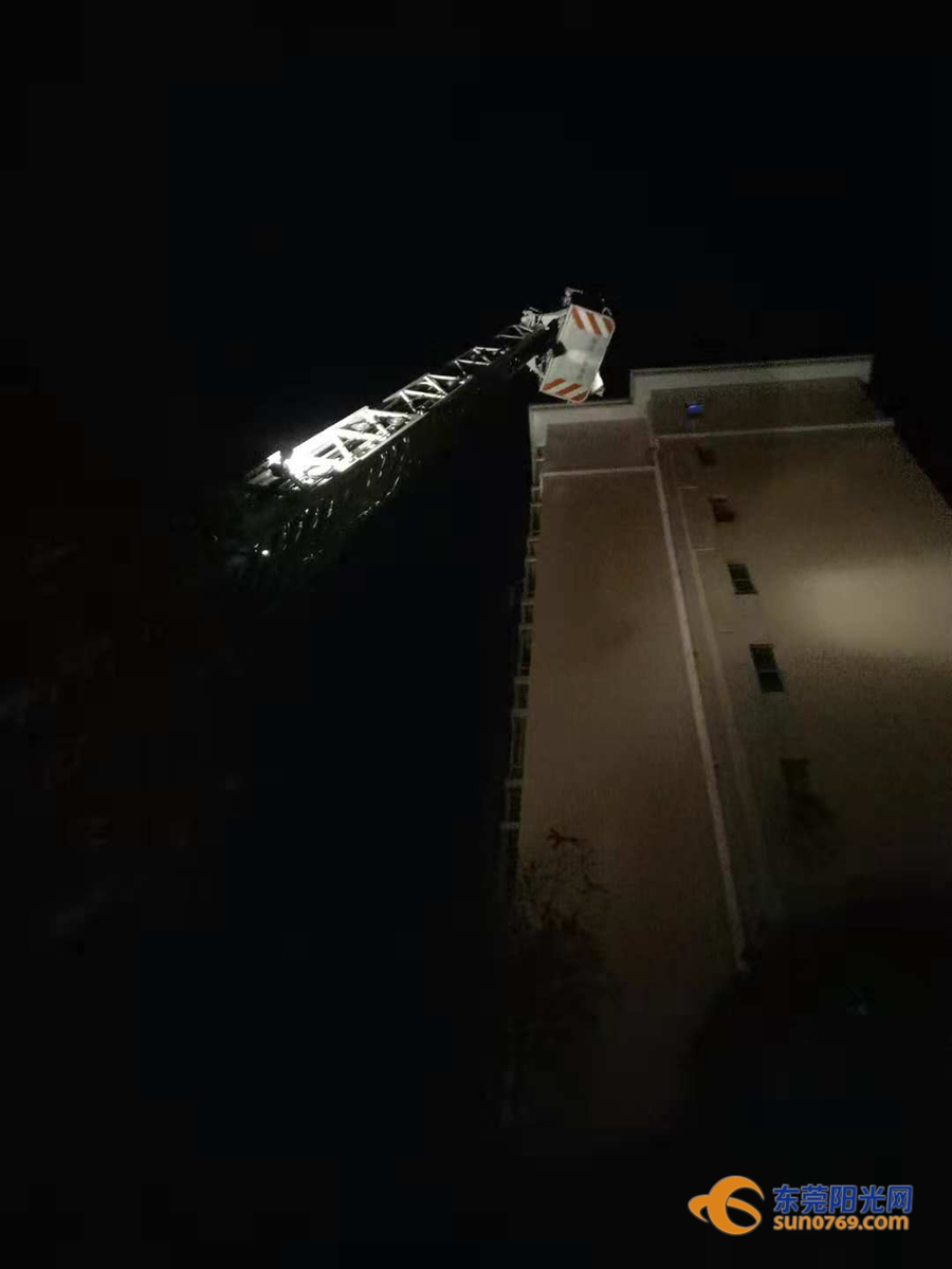 东莞清溪马蜂,清溪找马蜂