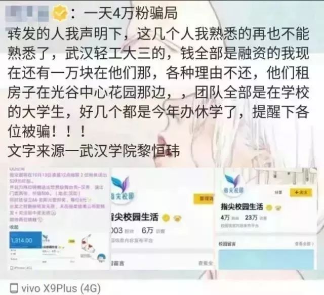 为什么中国锦鲤这么火,锦鲤红包骗人套路