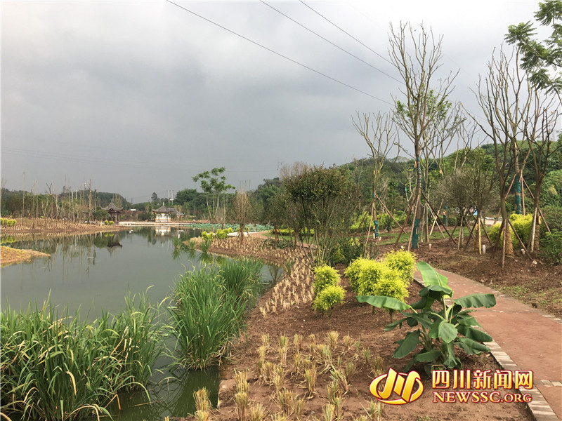 自贡复合绿道,自贡釜溪河和平段滨河绿道