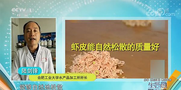 冻虾呈蓝色绿色能吃吗,冻虾变蓝绿色还能吃吗