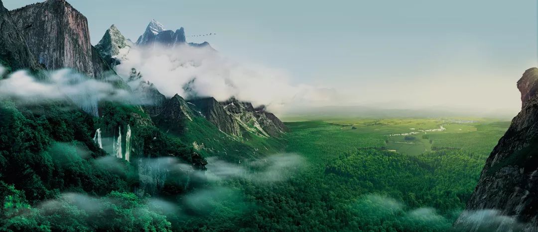 金六福六种颜色的酒,金六福中国福酒42度价目表