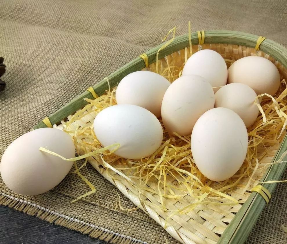 酵素能防癌症吗,长期吃酵素对癌症有效吗