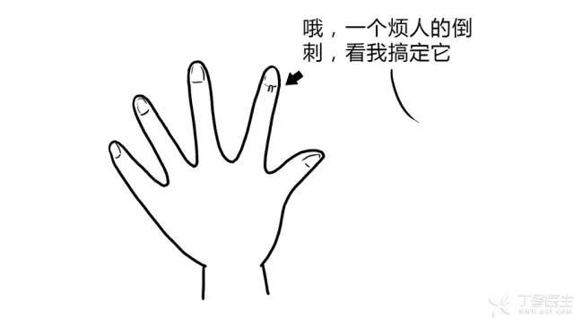 「乐生活」指甲上月牙少，到底是不是身体不好？