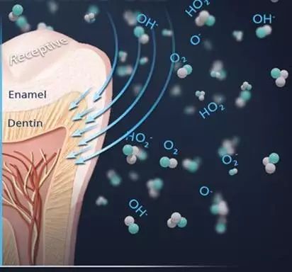 云南白药牙膏西药止血,云南白药牙膏可以止血吗