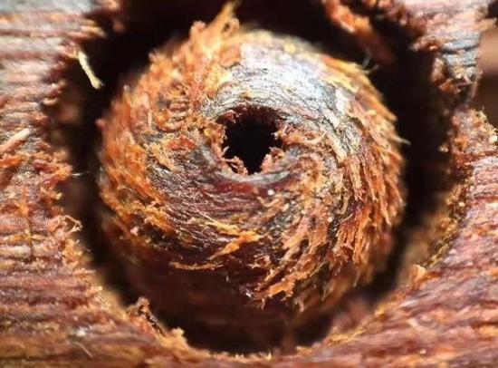 降真香分为几种香气,降真香的别名