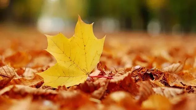 「靓·白云」秋天的白云鄂博，仿佛让你置身岁月的留声机中……