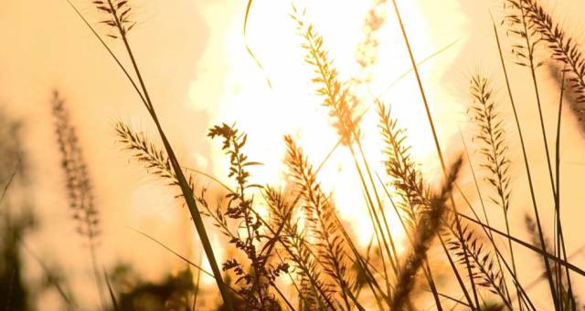 「靓·白云」秋天的白云鄂博，仿佛让你置身岁月的留声机中……