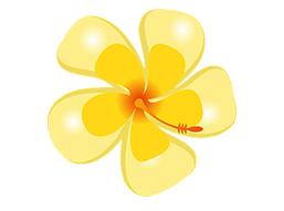 诏安小云水谣,诏安旅游团云水谣景区