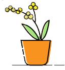 最新双十一消费警示,消费预警提醒你别入坑