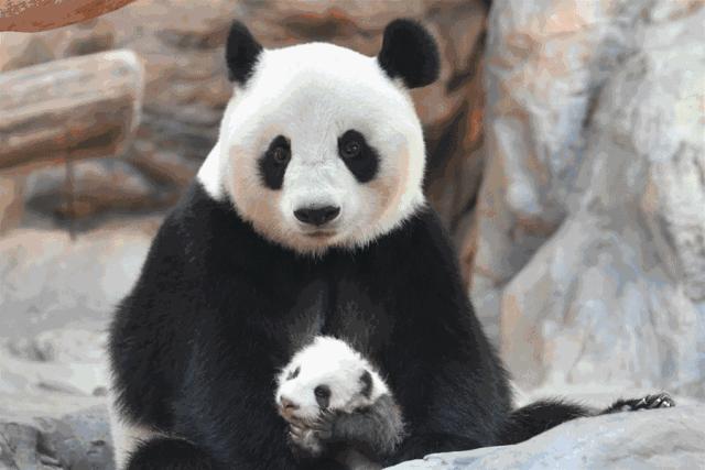 都别劝我！这个假期我哪也不去！就在广州也能玩到嗨起……