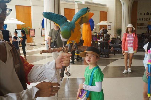 三亚亲子私人定制旅游攻略,三亚自驾亲子游攻略