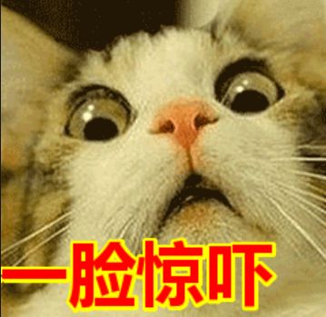 生活作风问题被问责,生活垃圾处罚