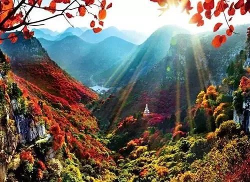 兄dei，你有一份最美赏红叶推荐请注意查收