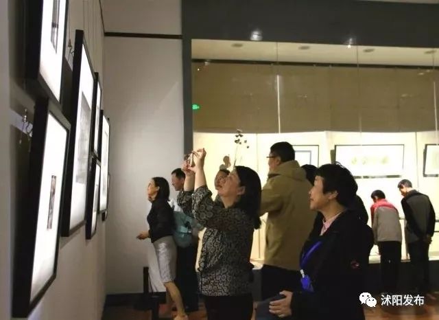 夏老师到底爱谁,夏老师喜欢陈律吗