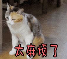 手机号码用了5年以上的锦州人快看!喜讯来了!现在知道还不晚!