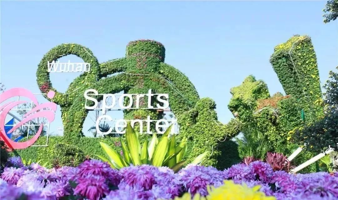 体育中心看展菊,在体育中心玩乐的一天