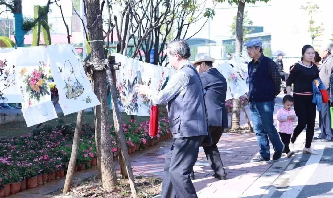 体育中心看展菊,在体育中心玩乐的一天