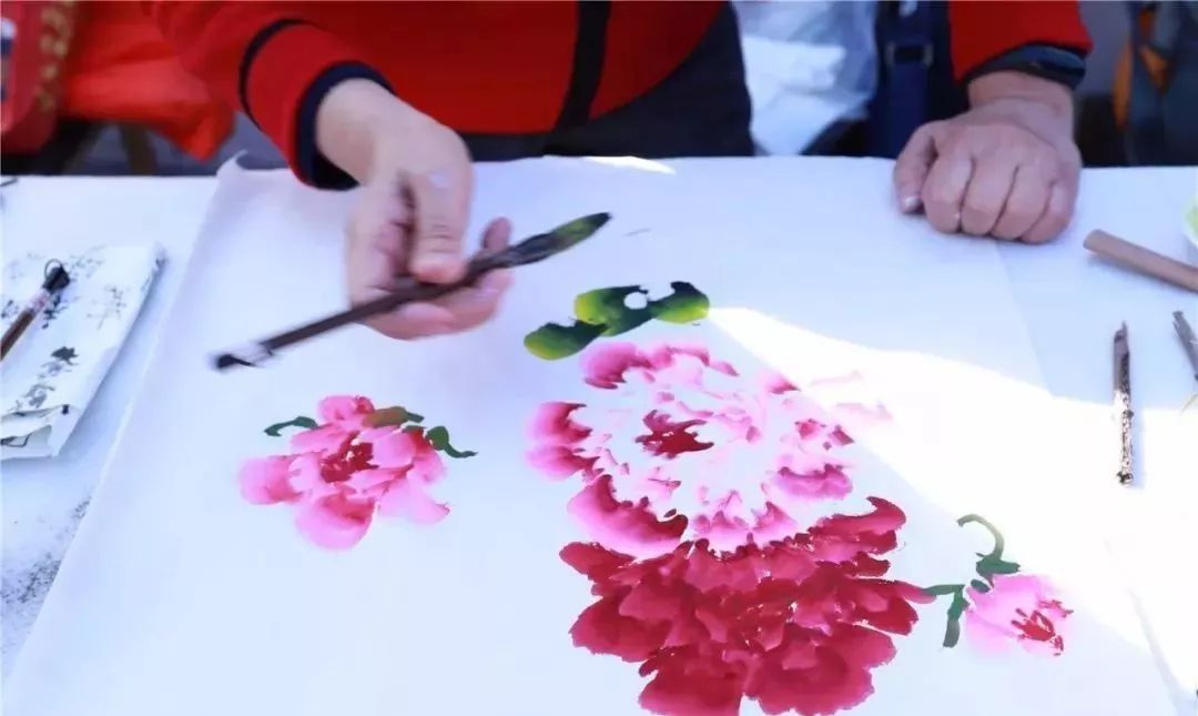 体育中心看展菊,在体育中心玩乐的一天