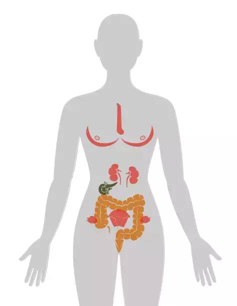 18张癌症人体地图，揭秘致癌真相！