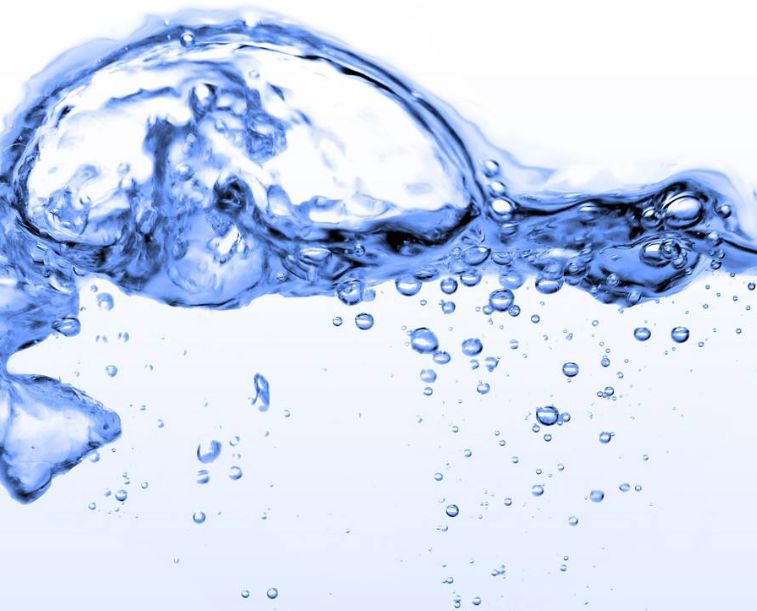 福清人，11月起，这些新规将影响你的生活！