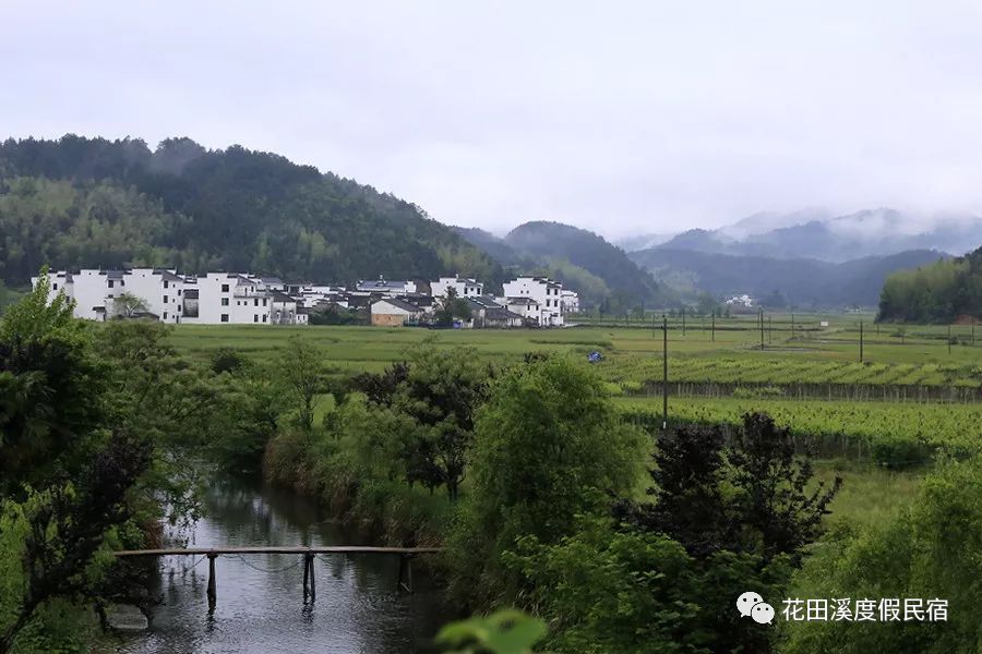 婺源花田溪民宿,花田溪民宿模式
