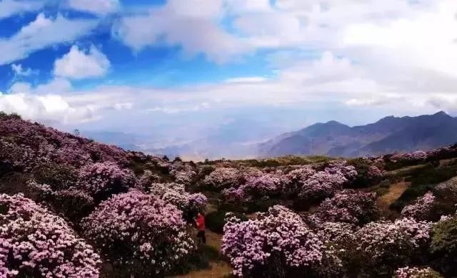 四川最南边的古城,看会理前世今生!