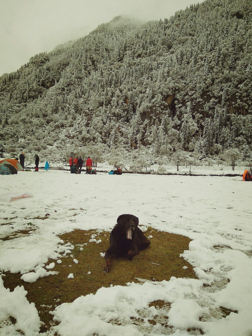 国庆流水账日记,中秋国庆流水账