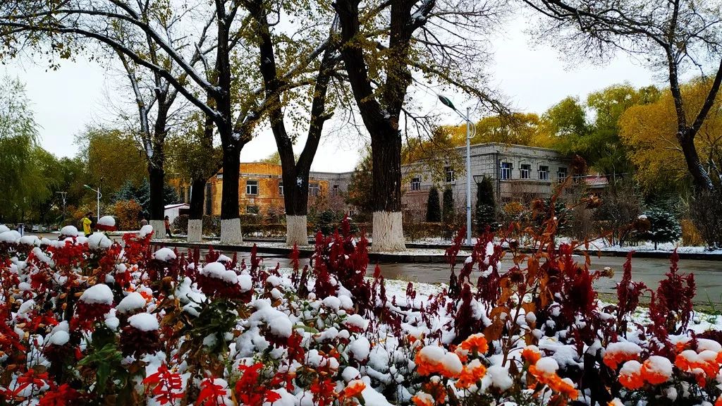 鎷虫嫵璧ゅ瓙蹇冩娈锋姊撴儏闃呰,涓嶅繕鍒濆績姣嶆牎鎯呭洓鍗佷綑杞藉啀鑱氶