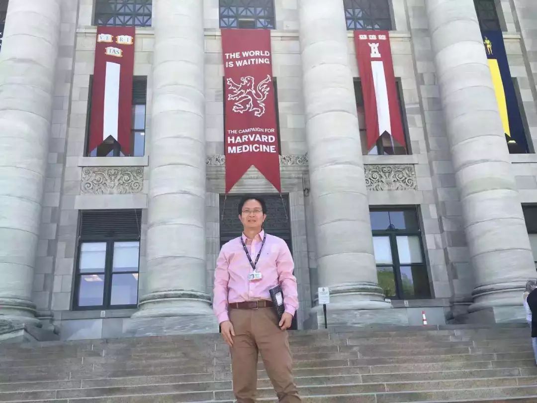 pubmed文献总结,pubmed文献综述类