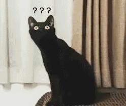 网上买的双飞人真假,网上买双飞人靠谱吗