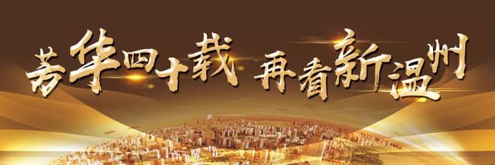 温州眼镜小镇依视路,温州眼镜小镇发展