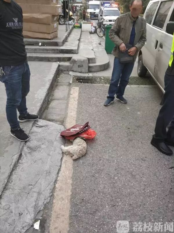 汽车撞了家禽家畜怎么判,汽车撞了宠物怎么办