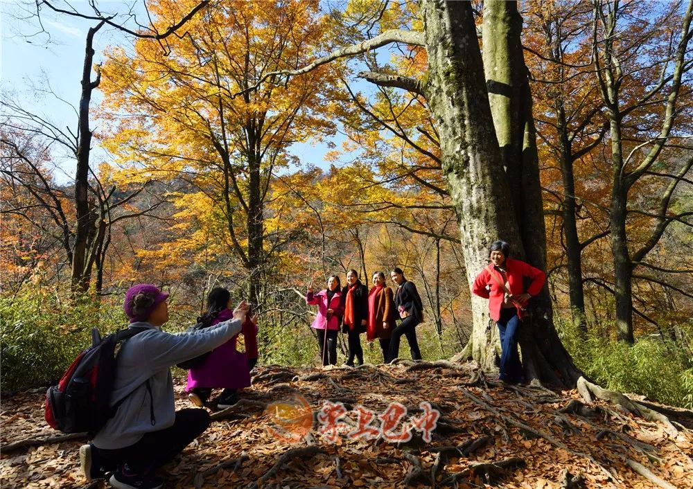 错过了红叶最佳观赏时间,光雾山红叶最佳观赏地方是哪里