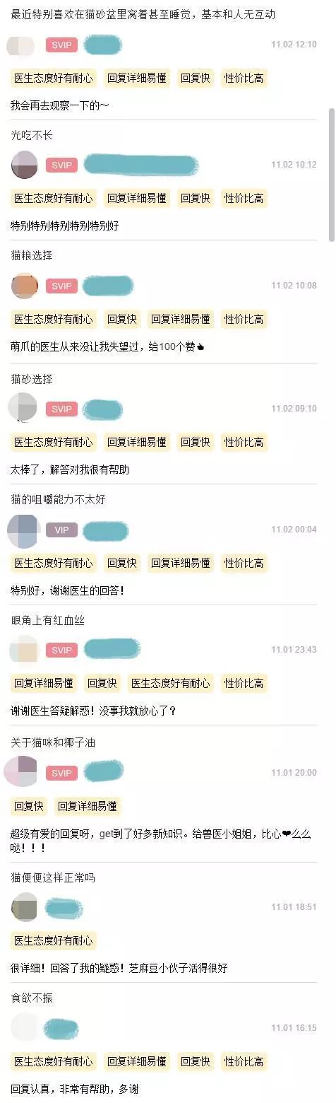 双11的猫粮跟平时的不一样,双11猫粮价格